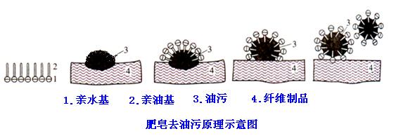 肥皂、洗衣粉和洗衣液三者有哪些區(qū)別？